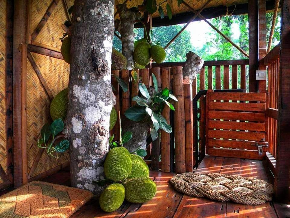 Greens Tree House & Wood House Sultan Bathery Luaran gambar