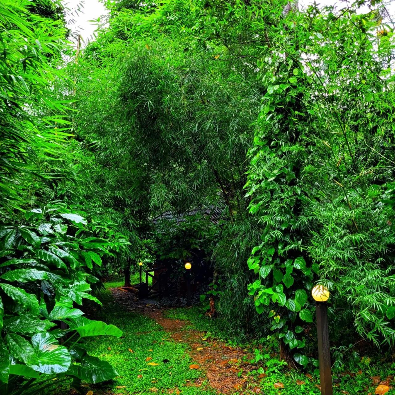 Greens Tree House & Wood House Sultan Bathery Luaran gambar