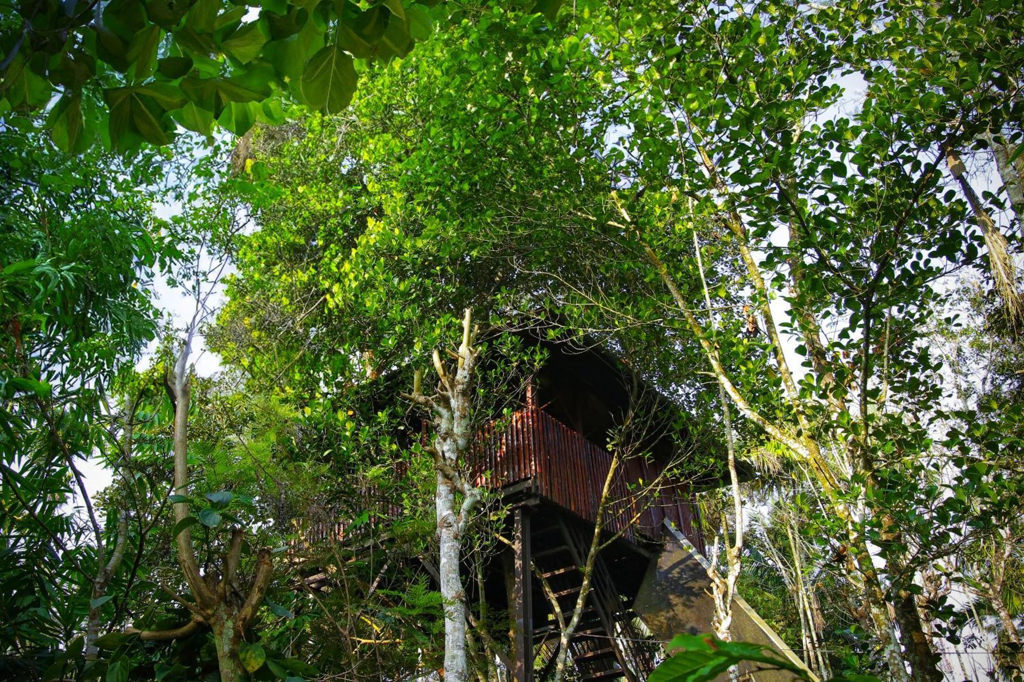 Greens Tree House & Wood House Sultan Bathery Luaran gambar