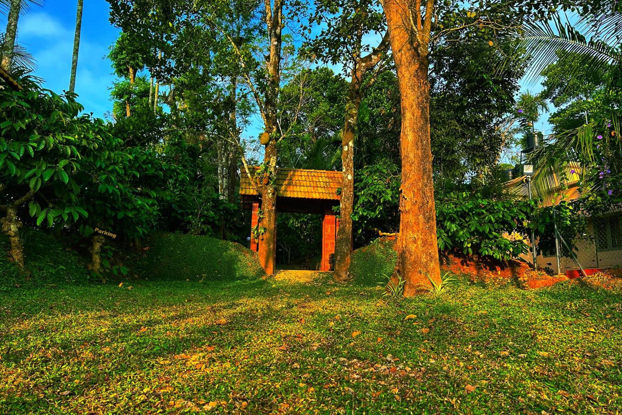 Greens Tree House & Wood House Sultan Bathery Luaran gambar