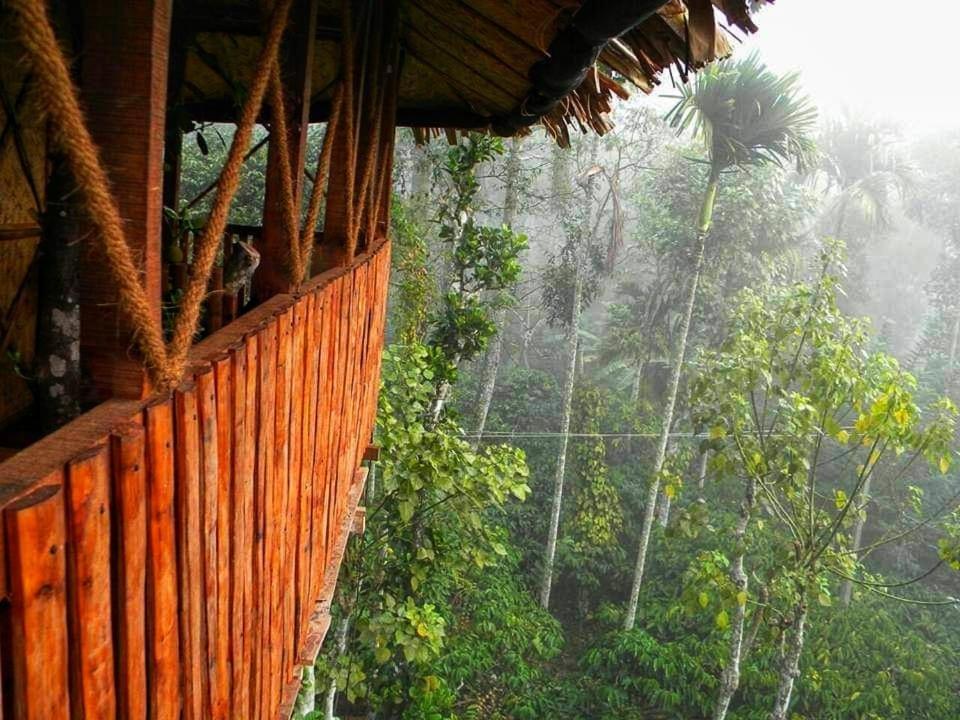 Greens Tree House & Wood House Sultan Bathery Luaran gambar