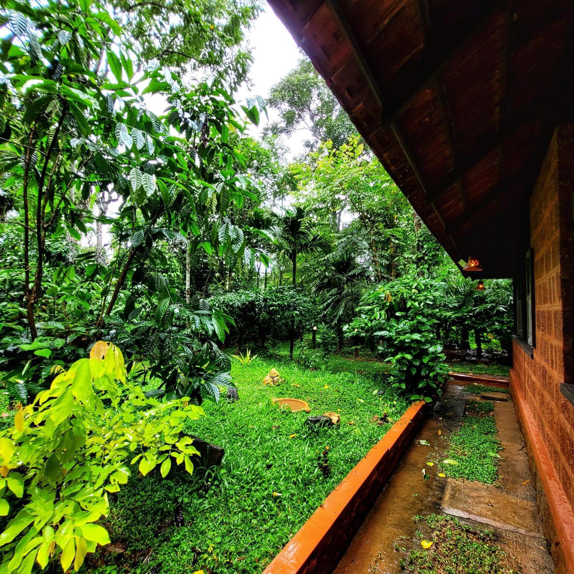 Greens Tree House & Wood House Sultan Bathery Luaran gambar