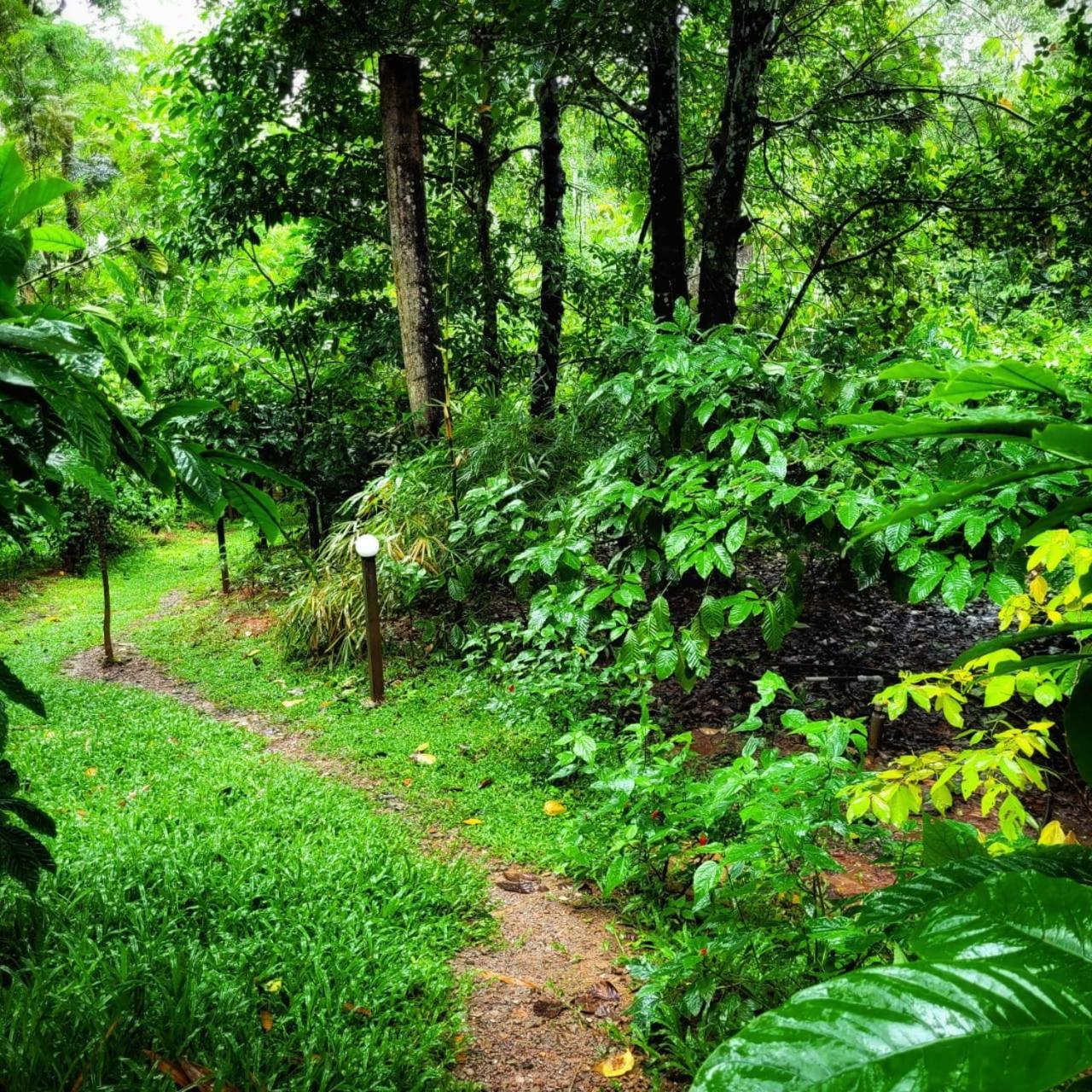 Greens Tree House & Wood House Sultan Bathery Luaran gambar