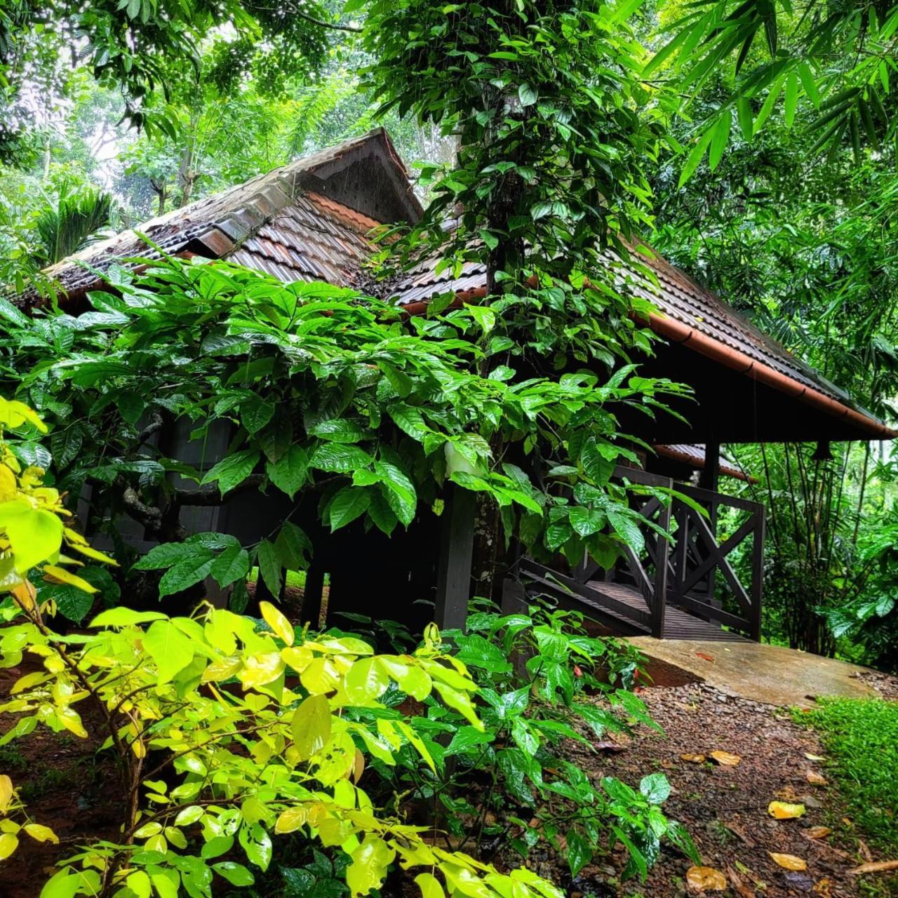 Greens Tree House & Wood House Sultan Bathery Luaran gambar