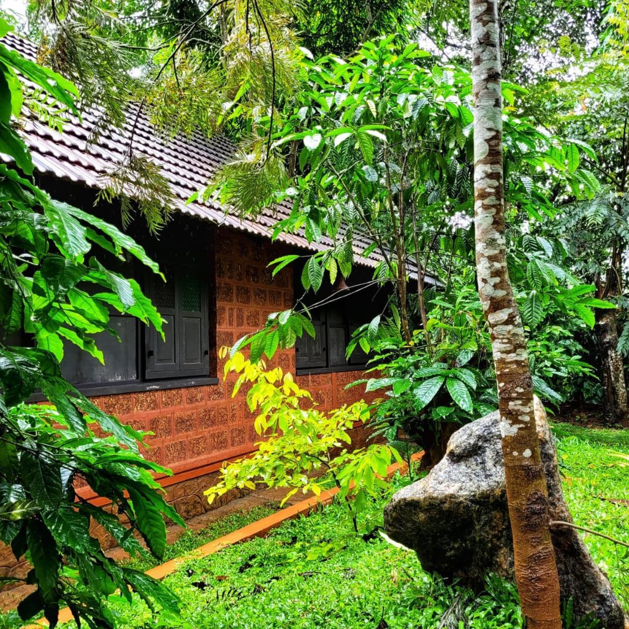 Greens Tree House & Wood House Sultan Bathery Luaran gambar