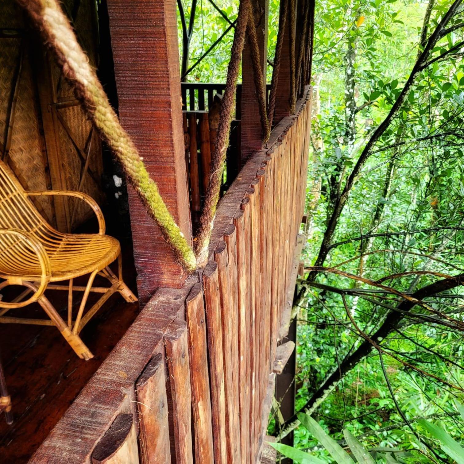 Greens Tree House & Wood House Sultan Bathery Luaran gambar