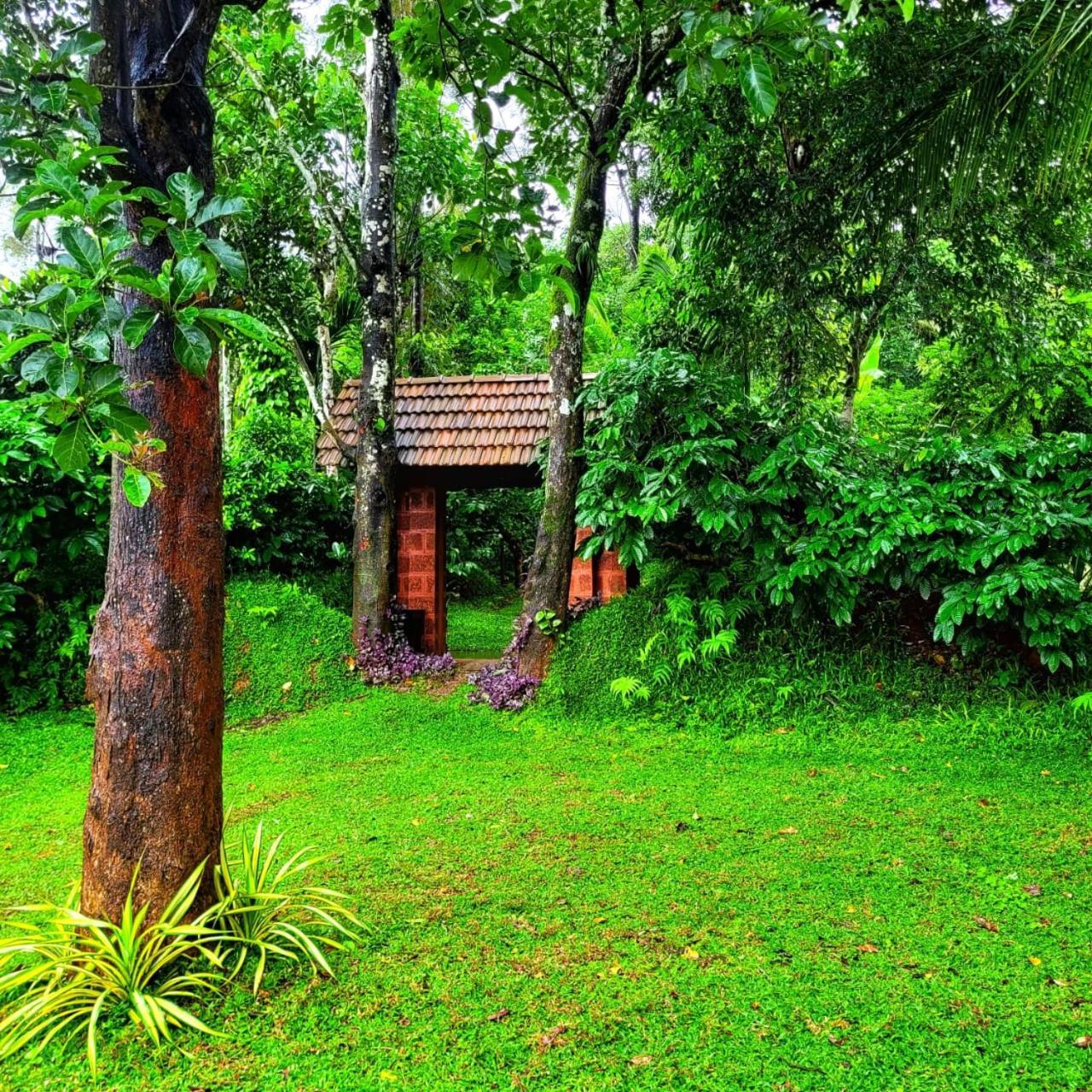 Greens Tree House & Wood House Sultan Bathery Luaran gambar