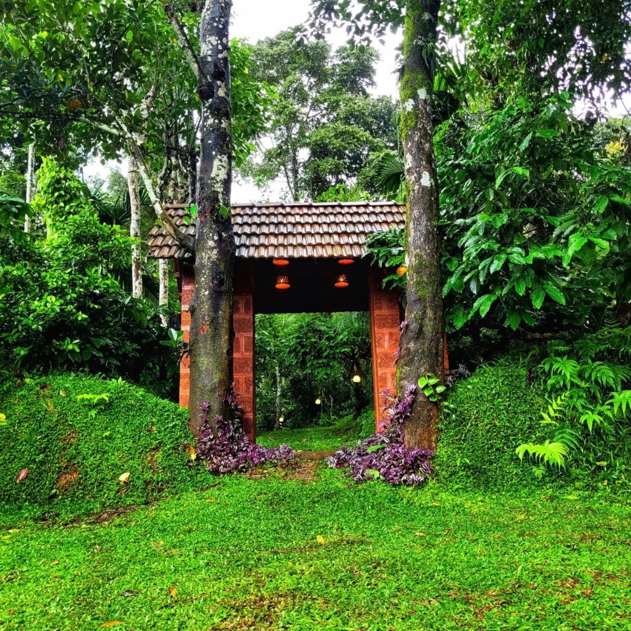 Greens Tree House & Wood House Sultan Bathery Luaran gambar