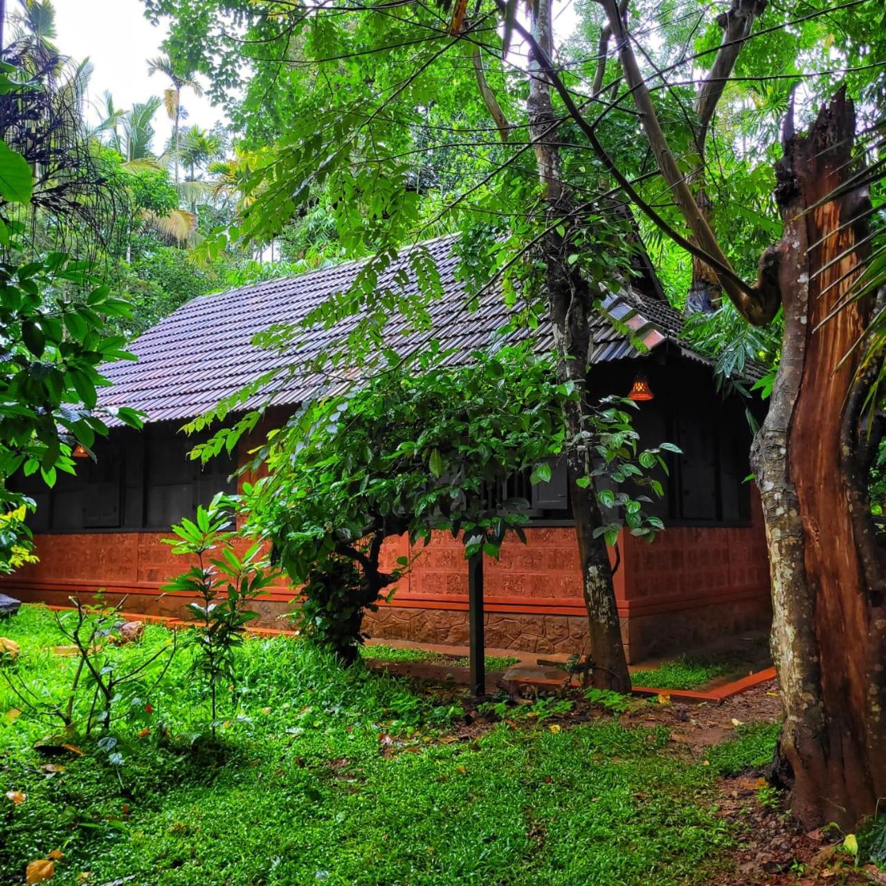 Greens Tree House & Wood House Sultan Bathery Luaran gambar