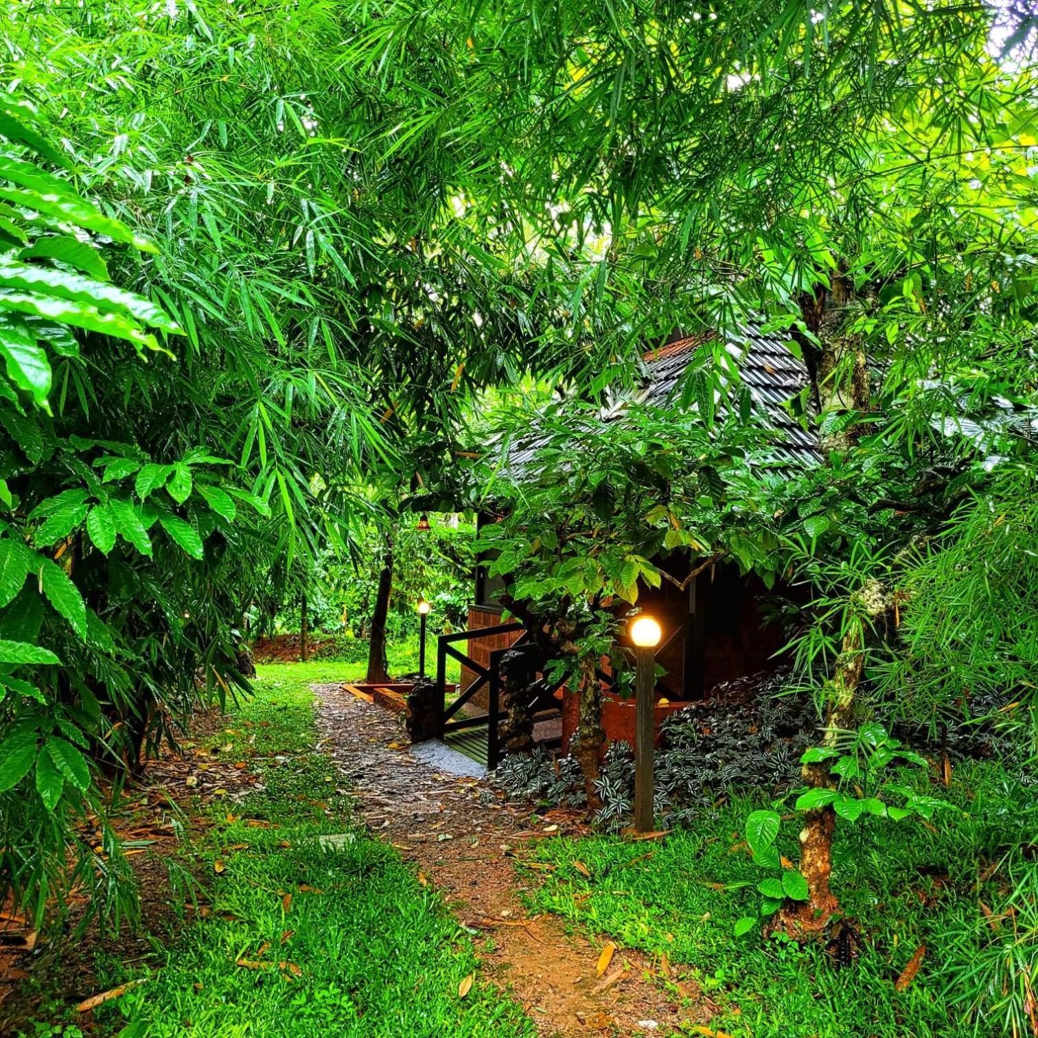 Greens Tree House & Wood House Sultan Bathery Luaran gambar