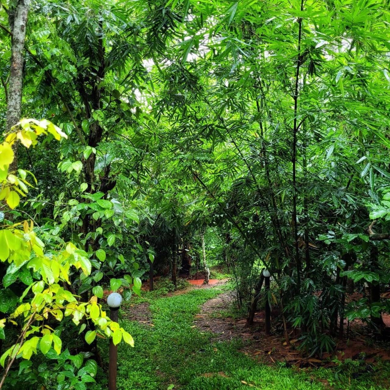 Greens Tree House & Wood House Sultan Bathery Luaran gambar
