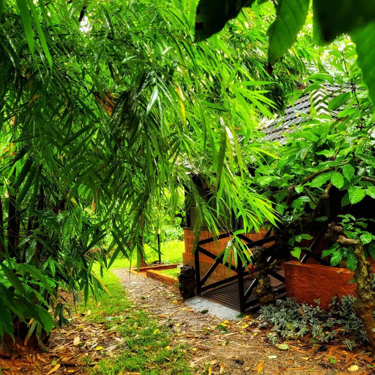 Greens Tree House & Wood House Sultan Bathery Luaran gambar