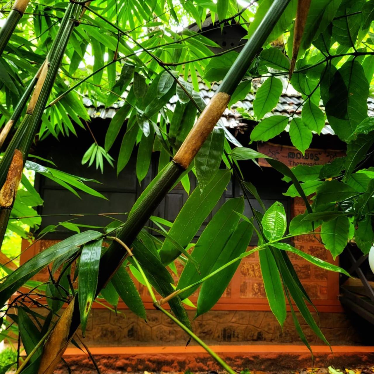 Greens Tree House & Wood House Sultan Bathery Luaran gambar