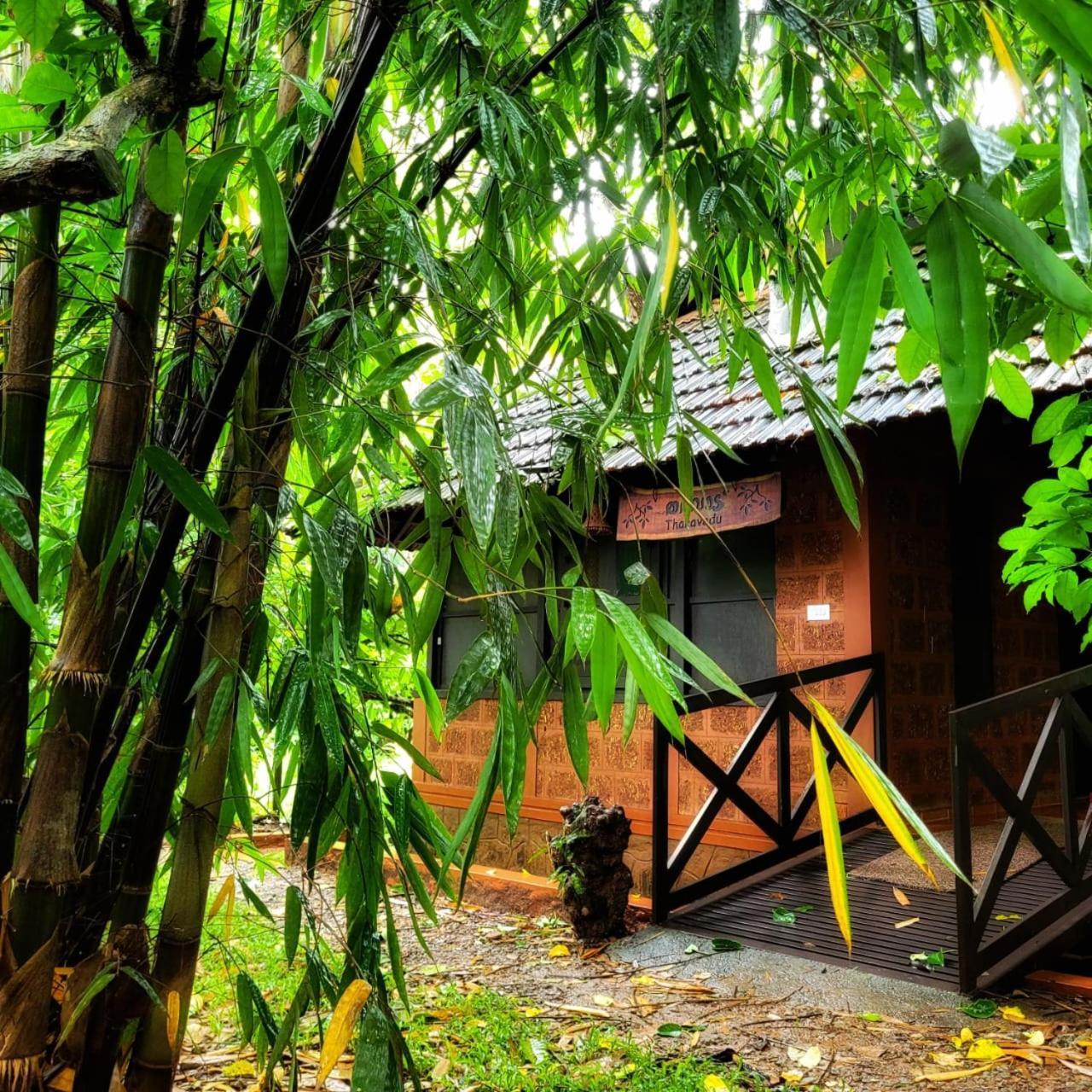 Greens Tree House & Wood House Sultan Bathery Luaran gambar