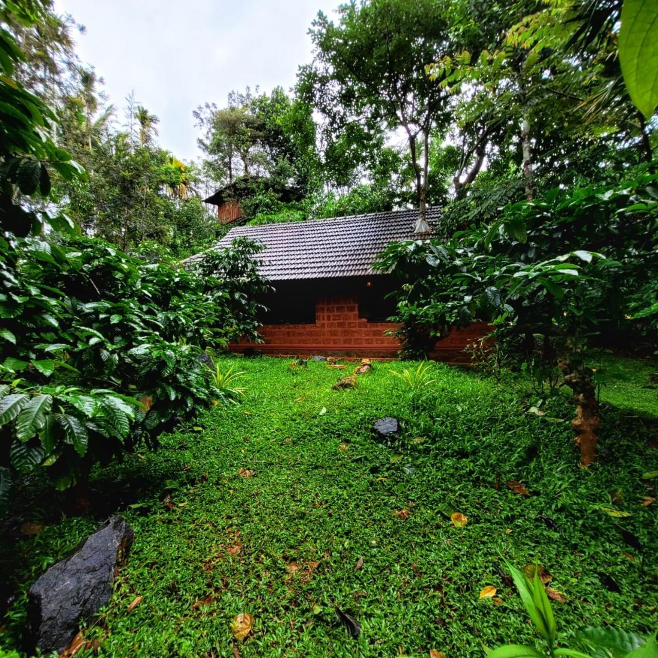Greens Tree House & Wood House Sultan Bathery Luaran gambar